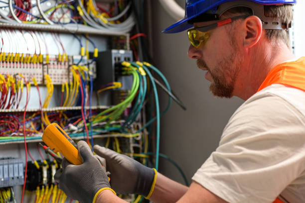 Best Electrical System Inspection  in Roodhouse, IL